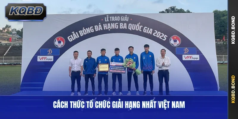 Cách thức tổ chức giải Hạng Nhất Việt Nam