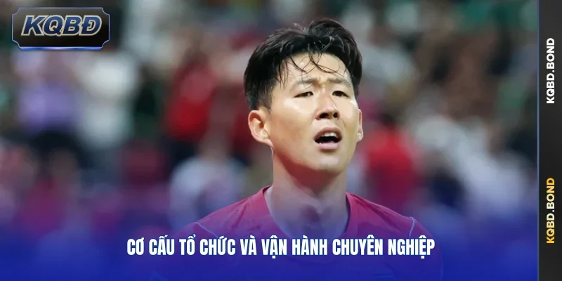 Cơ cấu tổ chức và vận hành chuyên nghiệp