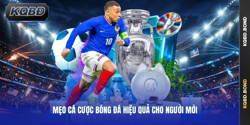 Mẹo cá cược bóng đá hiệu quả cho người mới